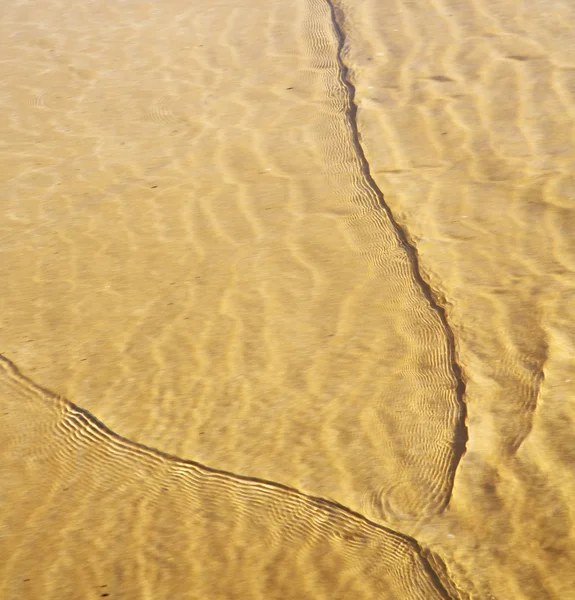 Моро в Африке коричневой береговой линии мокрый песчаный пляж возле Атлантического o — стоковое фото