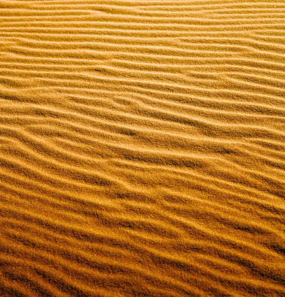 Коричнева піщана дюна в пустелі сахарського марокко — стокове фото