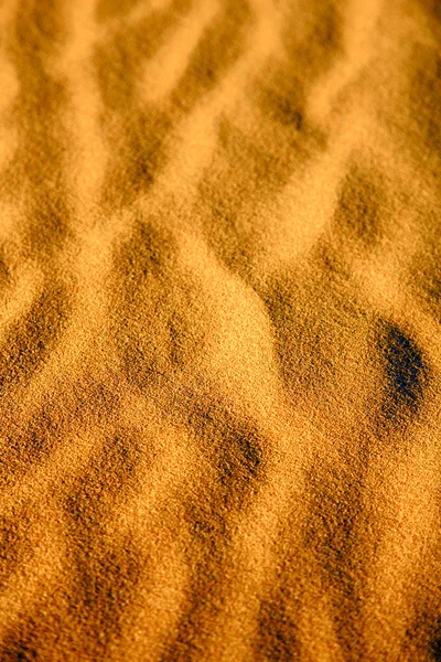 Бурый песчаный дюн sahara morocco — стоковое фото