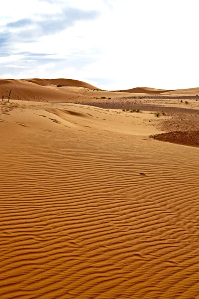 Vieux fossile de montagne dans le marocain et pierre de roche s — Photo