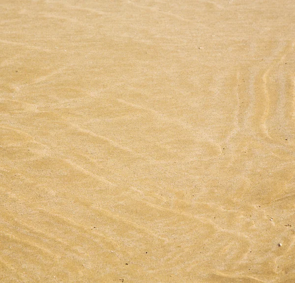 Dune morocco em áfrica costa marrom praia de areia molhada perto de atlan — Fotografia de Stock