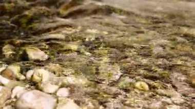 soyut renkler ve bulanık arkaplan