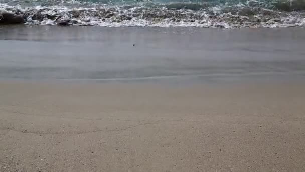 Agua flotante en un río en Omán y luz — Vídeos de Stock