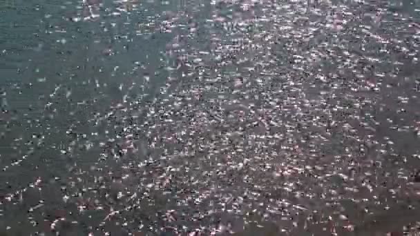 eau flottante dans une rivière en oman et lumière 