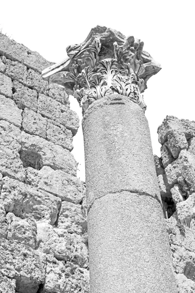 Colonna nel vecchio tempio e teatro in esus antalya tacchino come — Foto Stock