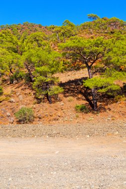 soyut renkler ve bulanık arkaplan