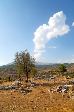    Türkiye selge mimari kalıntılar ve doğa 