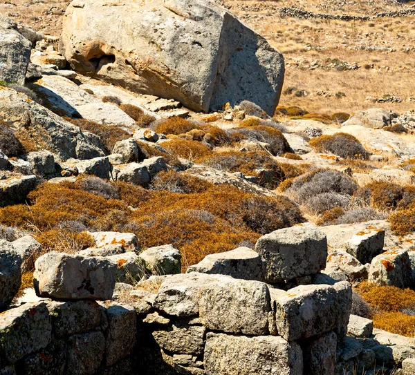 Anlage in delos griechenland die historische Akropolis und alte Ruine sitzen — Stockfoto