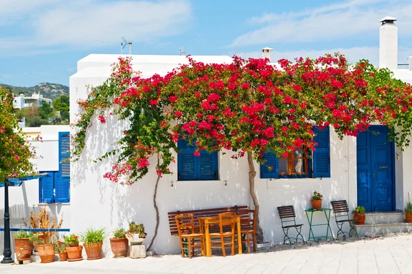 Острів Греції antorini Європі білого кольору — стокове фото
