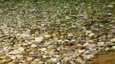 soyut renkler ve bulanık arkaplan