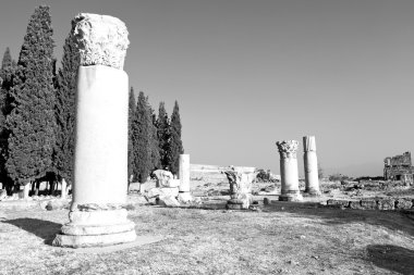 soyut renkler ve bulanık arkaplan