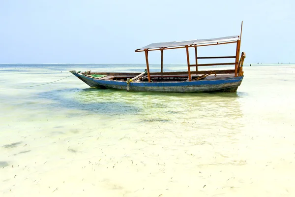 Beach   in zanzibar seaweed       sand isle  sky    sailing — Stock Photo, Image