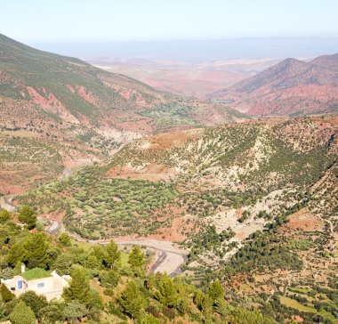 Dades vadide atlas Fas Afrika yere ağaç ve kimse