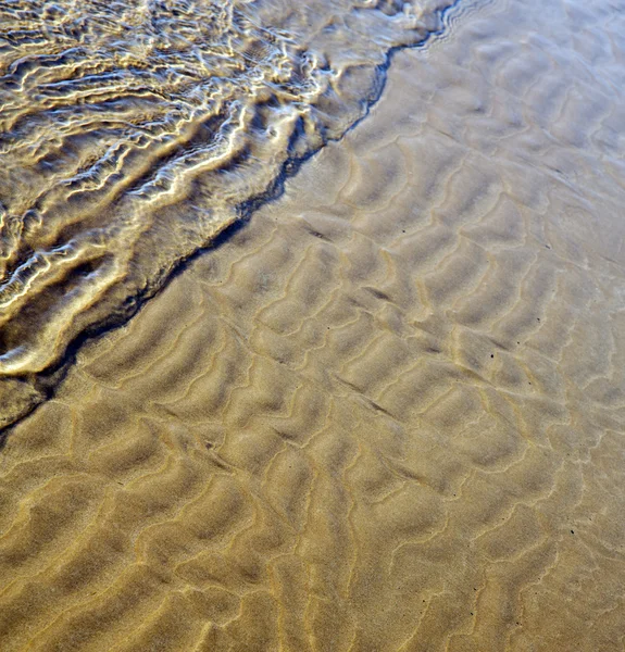 Marokko in Afrika braune Küste nassen Sandstrand in der Nähe von Atlantik o — Stockfoto