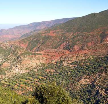 atlas Fas Afrika yere ağaç ve nobo dades vadide