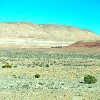 kahverengi bush Vadisi Fas Afrika'da atlas kuru Dağı