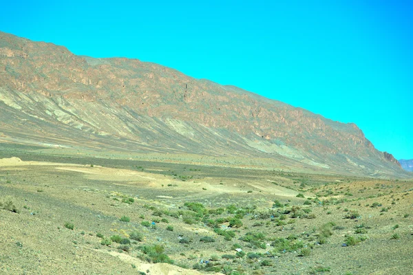 Буш в долине Марокко Африка атлас — стоковое фото