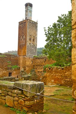 Chellah Fas Afrika eski Roma anıt bozulan bir