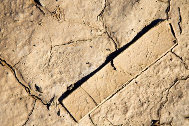 kahverengi kuru kum sahara ahşap soyut