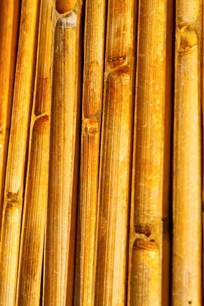 Abstrato bambu cruz no templo sul — Fotografia de Stock