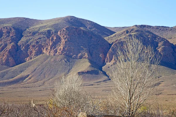 Vale em árvore montanha terreno isolado — Fotografia de Stock