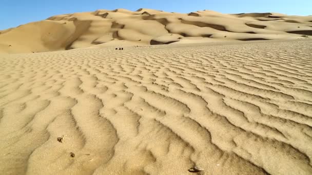 Duna de areia deset em oman e movimento abstrato do vento — Vídeo de Stock