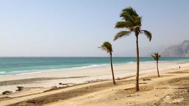 Cerca de playa de arena cielo palmera y montaña en oman mar árabe la colina — Vídeo de stock