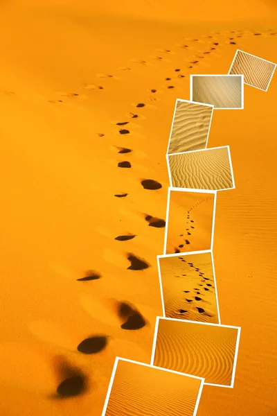 Il sahara di sabbia marrone in carta da parati — Foto Stock