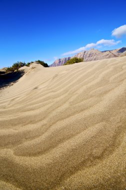 soyut sarı dune hil ve dağ lanzarote İspanya plaj 