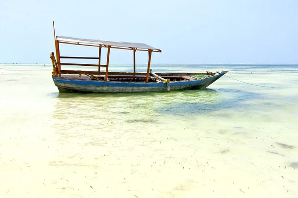 Zanzibar yosun kum Adası gökyüzü yelken plaj — Stok fotoğraf