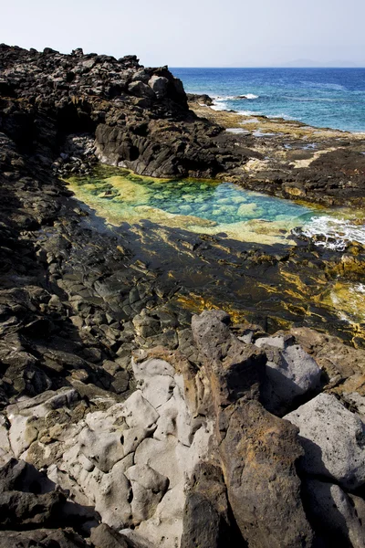 海岸线在兰萨罗特西班牙池塘岩石麝香和夏天 — 图库照片