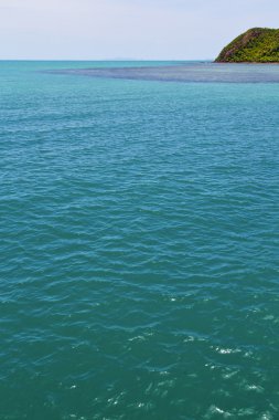   yeşil lagün ve ağaç kho phangan