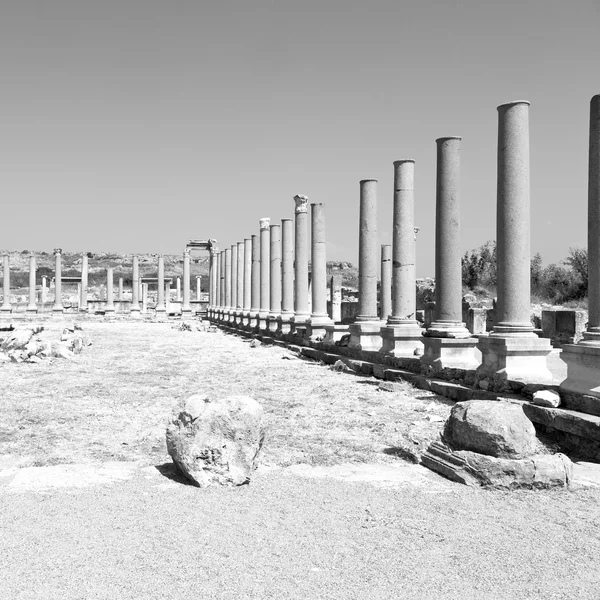 In  perge old construction asia turkey the column  and the roma — Stock Photo, Image