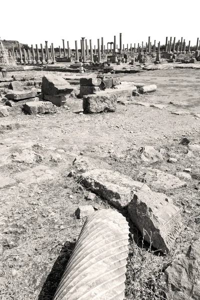 Perge old construction in asia turkey the column  and the roman — Stock Photo, Image