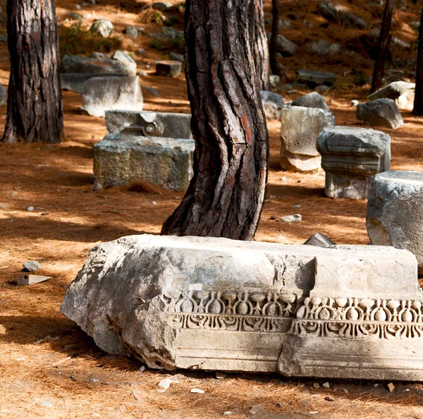 Oude kolom geruïneerd en vernietigd steen in phaselis tempel Turkije — Stockfoto