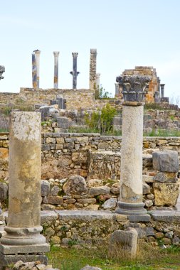 Volubilis Fas Afrika eski Roma bozulan anıt 