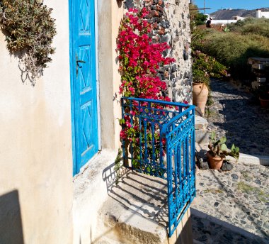  çiçekler mimarisi Avrupa'nın Kiklad Adaları santorini eski şehir 