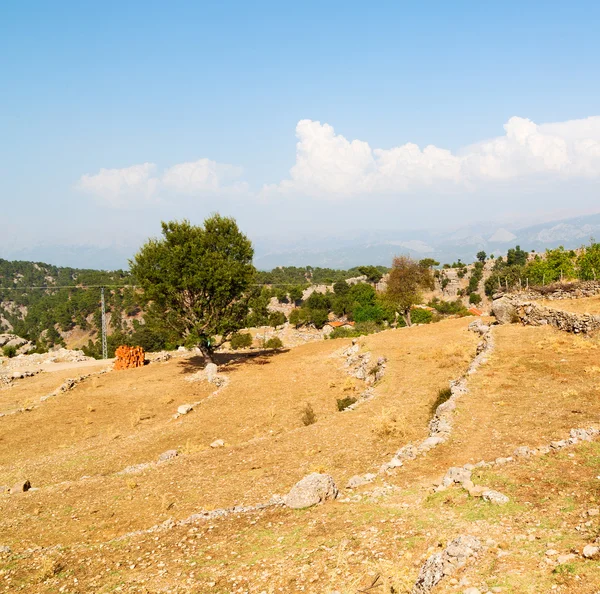 从亚洲土耳其 selge 古建筑废墟和纳山 — 图库照片