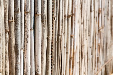 doku bambu ahşap 