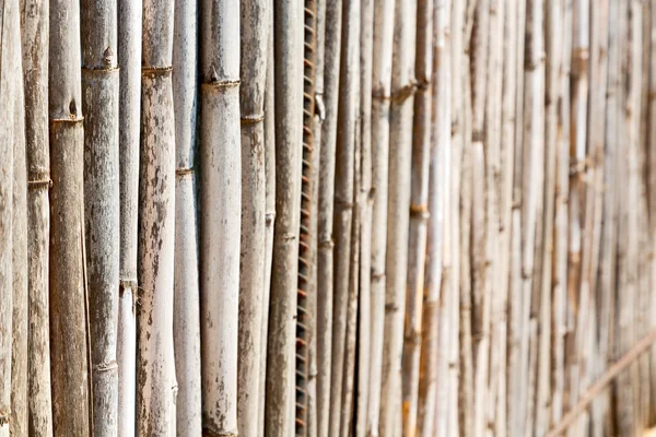 Texture legno di bambù — Foto Stock