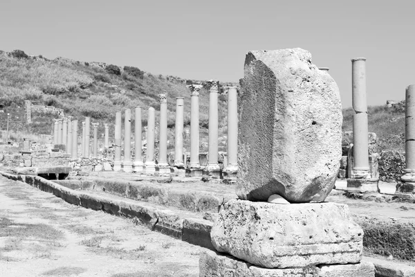 In  perge old construction asia turkey the column  and the roma — Stock Photo, Image