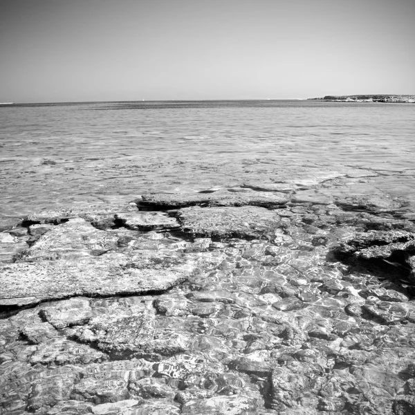 褐色的石头，在海岸线日出和光海白色天空 — 图库照片