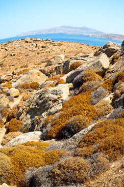 Bush delos Yunanistan historycal Akropolis ve yobaz oturmak