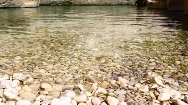 Abstrakcyjne kolory i niewyraźne tło — Wideo stockowe