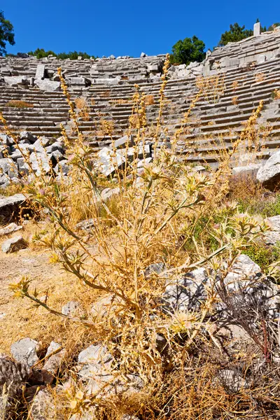 Το παλιό ιερό και το θέατρο — Φωτογραφία Αρχείου