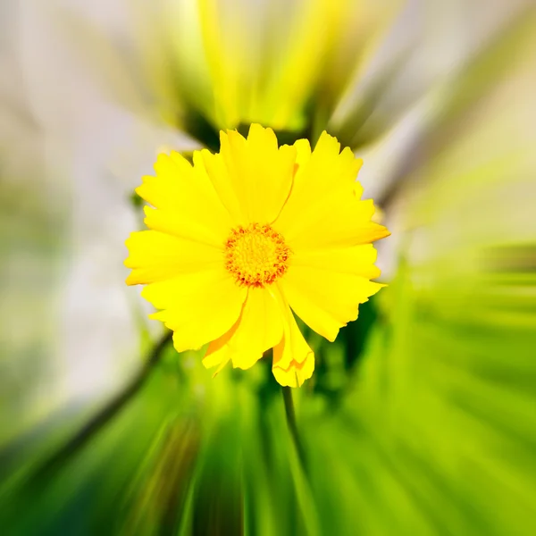 En italie jaune sombre flou zoom — Photo