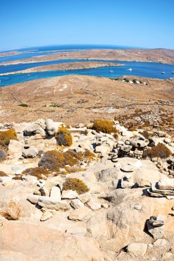Bush delos Yunanistan historycal Akropolis ve yobaz oturmak