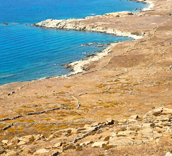 Bush in delos Griekenland de historycal Akropolis en oude ruïne zitten — Stockfoto