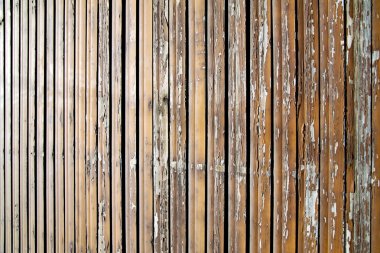 Besnate pencere Jaluzi Perde beton tuğla