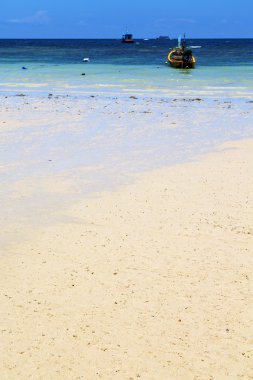 Asya, Kho Tao Körfezi Adası, Beyaz Tayland ve Güney S.